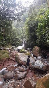 Air terjun ini memiliki ketinggian sekitar 20. Menikmati Indahnya Curug Pangeran Daily Voyagers