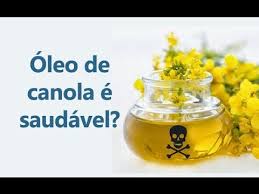 Resultado de imagem para oleo de canola