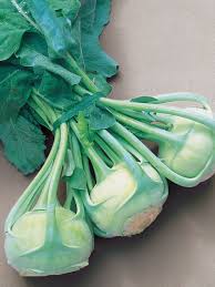 Kohlrabi, Early White Vienna