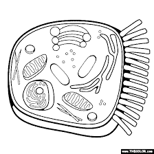 Free nature coloring pages to print for kids. Nature Coloring Pages