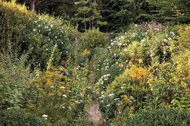 A Landscape Designer S Wild Garden Published 2019 Landscape Design Garden Landscape Design Day Lilies