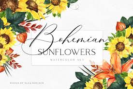 Including transparent png clip art, cartoon, icon, logo, silhouette, watercolors, outlines, etc. Bohemian Sunflower Watercolor Set In Illustrations On Yellow Images Creative Store