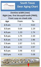 coastal bend agriculture briefs tooth dentine key to