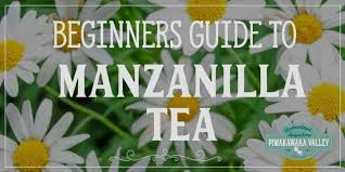 Maybe you would like to learn more about one of these? 14 Amazing Manzanilla Tea Benefits