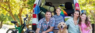 Get your pets the care they deserve without emptying your wallet. Auto Car Home Business Property Commercial Building Insurance In Blaine Minnesota The Jensen Agency Insurance Brokers Of Mn