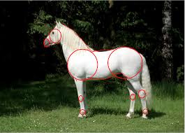Paarden tekenen met behulp van een raster. Tips Van Mij Tekenen Met Hester