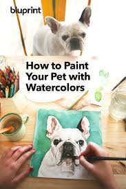 Looking to improve your pet portrait skills? Pin On Animal Portraits
