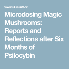Pin On Mushrooms