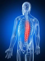 Need to brush up your knowledge of head and neck anatomy? What You Need To Know About The Thoracic Spine Tarpon Interventional Pain Spine Care Interventional Spine Pain Specialists