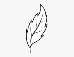 Check spelling or type a new query. Leaf Outline Collection Of Clipart Free Best On Transparent Outline Images Of Leaf Hd Png Download Kindpng