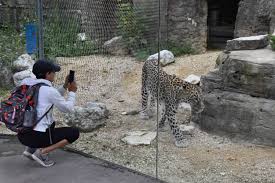 tierpark bern zooschweiz zoosuisse