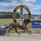 Omakau Trots event image