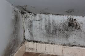 Vapour barrier on exterior basement walls. Does Vapour Barrier Lead To Mold And Rot In Basements Eieihome