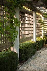 Architects Secrets 10 Ideas To Create Privacy In The Garden Gardenista Privacy Landscaping Garden Privacy Screen Privacy Fence Designs