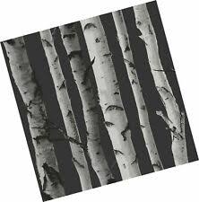 Download free birch tree images from our collection of stock photos. Fine Decor Distinctive Birch Tree Wallpaper Fd 31052 Trunks Charcoal Grey For Sale Online Ebay
