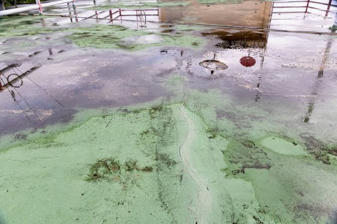 Ponding Water on Flat Roofs