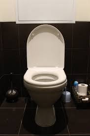 We also have toilet flush valve repair parts if a broken flush valve — responsible for forming the seal that holds water in the tank — is the malfunction. Should You Repair Or Replace Your Toilet Know What To Do When Fsi Oil And Propane