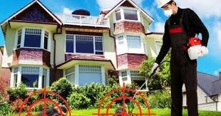 شركة رش مبيدات بالمدينة المنورة العياد 0549503911 Termite Control Pest Control Insect Control
