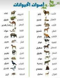 اصوات الحيوانات بالعربية و الفرنسية بحث google learning arabic learn arabic online arabic lessons