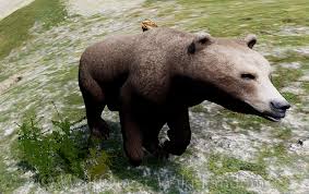 Park watches a cub who is waiting for his mother. Grizzly Bear Wolfquest Wiki Fandom