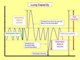 lung volumes following the various comments quit support