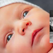 Kay Dodds Photography