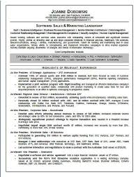 There are plenty of opportunities to land a marketing executive job position, but it won't just be handed to you. Software Sales Executive Resume Example
