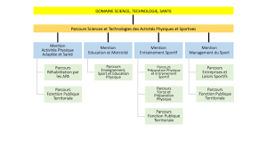 Licences Staps Ufr Sciences Et Techniques Des Activites Physiques Et Sportives