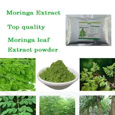 Kelor (moringa oleifera) atau merunggai adalah sejenis bunga kelor di malaysia lazimnya keluar sepanjang tahun dengan aroma bau semerbak pada kadar pokok kelor selalunya akan sentiasa menghasilkan dahan panjang yang tumbuh secara tegak. Best Top 10 Ekstrak Daun Kelor Brands And Get Free Shipping I0ff0f5l
