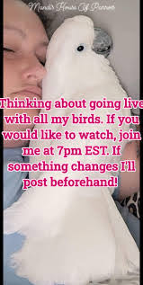 Amanda Waid's Instagram, Twitter & Facebook