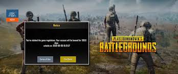 Name and shame cheaters in playerunkowns battlegrounds. Pubg Mobile Cheaters Listen Up No Chicken Dinner For You For 10 Years If You Re