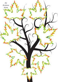 This may be meant as a wedding guest book idea, but we think it would work just as well for a family tree. Family Tree Template For Kids 15 Designs Showing 3 4 Generations Go Science Girls