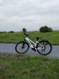 E Bike Test Am Neusiedler See Radweg In 2020 E Bike Test E Bike Radfahren