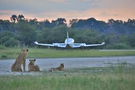 Botswana, officially the republic of botswana, is a landlocked country in southern africa. Flugsafari In Botswana Botswana Reisen Abendsonne Afrika