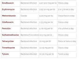 If it varies, it can indeed affect the antibiotic's effectiveness. Dog Medications Dosage Charts
