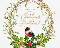Stella Di Natale Poinsettia Allegro E Luminoso Acquerello Di Etsy Christmas Watercolor Wreath Watercolor Christmas Wreaths