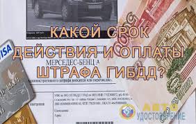 Crok Davnosti Uplaty Shtrafa Gibdd V 2020 Godu Vremya Na Ego Oplatu