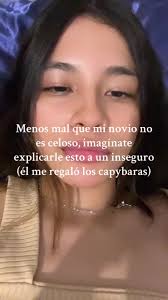 Kamen America Capybara