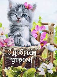 В гостях у программы «доброе утро» попечитель фонда «галчонок», актриса юлия пересильд и актер павел акимкин. Skachat Besplatno Kartinki Na Android Dobroe Utro Milye I Priyatnye