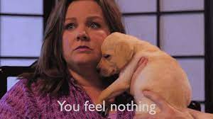 Alec published may 22, 2017. 10 Melissa Mccarthy Gifs That Perfectly Sum Up A Teacher S Week We Are Teachers