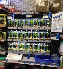 Aquatic pet shop near me. Betta Fish Not Perfect But A Huge Step Up From The Cups At Most Pet Stores Flake Food Betta Fish Care Betta Betta Fish Tank