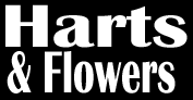 Vacation rentals in wye river. Green River Florist Flower Delivery By Harts Flowers