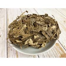 Image result for Gerbera piloselloides