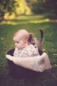 solo baby adli kullanicinin baby kids family panosundaki pin hayvanlar kedi hayvan