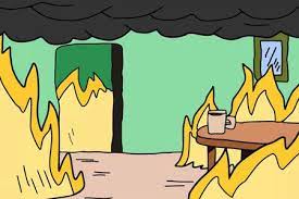 Zoom Virtual Backgrounds Fun Backgrounds For Zoom Meetings Messy Room This Is Fine Meme Disney Pixar Up
