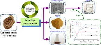 Please scroll down and click to see each of them. Robust Enzymatic Hydrolysis Of Formiline Pretreated Oil Palm Empty Fruit Bunches Efb For Efficient Conversion Of Polysaccharide To Sugars And Ethanol Sciencedirect
