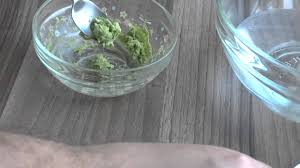 Jak Zrobic Wasabi Youtube