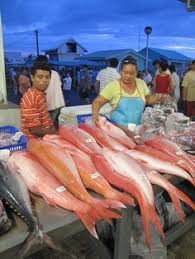 We did not find results for: 120 Fish Market Ideas Fish Seafood Marketing