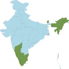 Image result for Pseudechinolaena