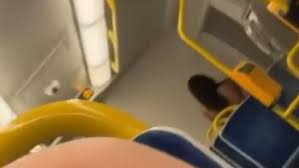 Adelaide train: Couple caught on camera having sex on Seaford line |  news.com.au — Australia's leading news site